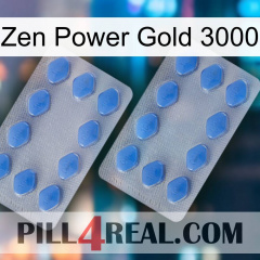 Zen Power Gold 3000 20